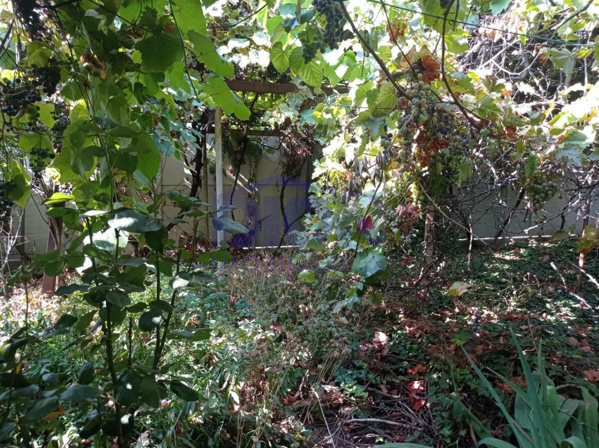 CASA DE VANZARE zona Eroii Revolitiei - foto 9