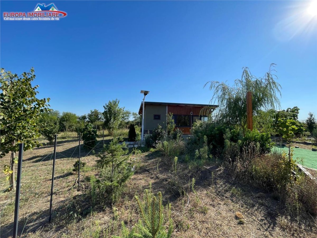 Teren de vanzare in localitatea Cataloi Tulcea - foto 13