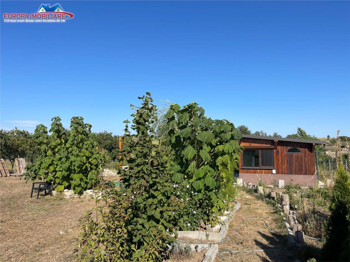 Teren de vanzare in localitatea Cataloi Tulcea - foto 17