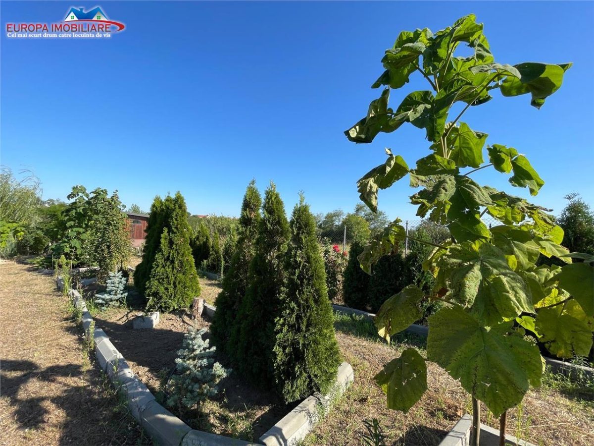 Teren de vanzare in localitatea Cataloi Tulcea - foto 20