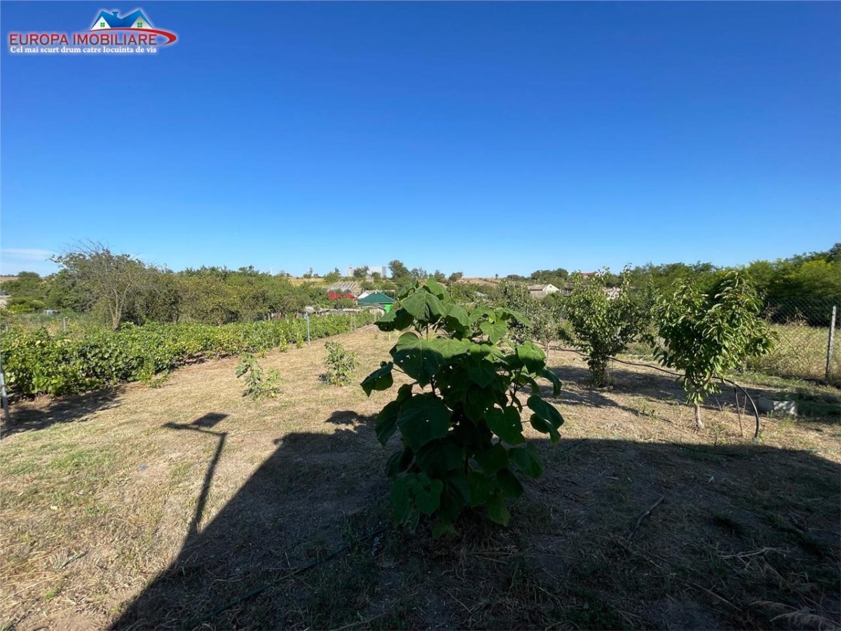 Teren de vanzare in localitatea Cataloi Tulcea - foto 25