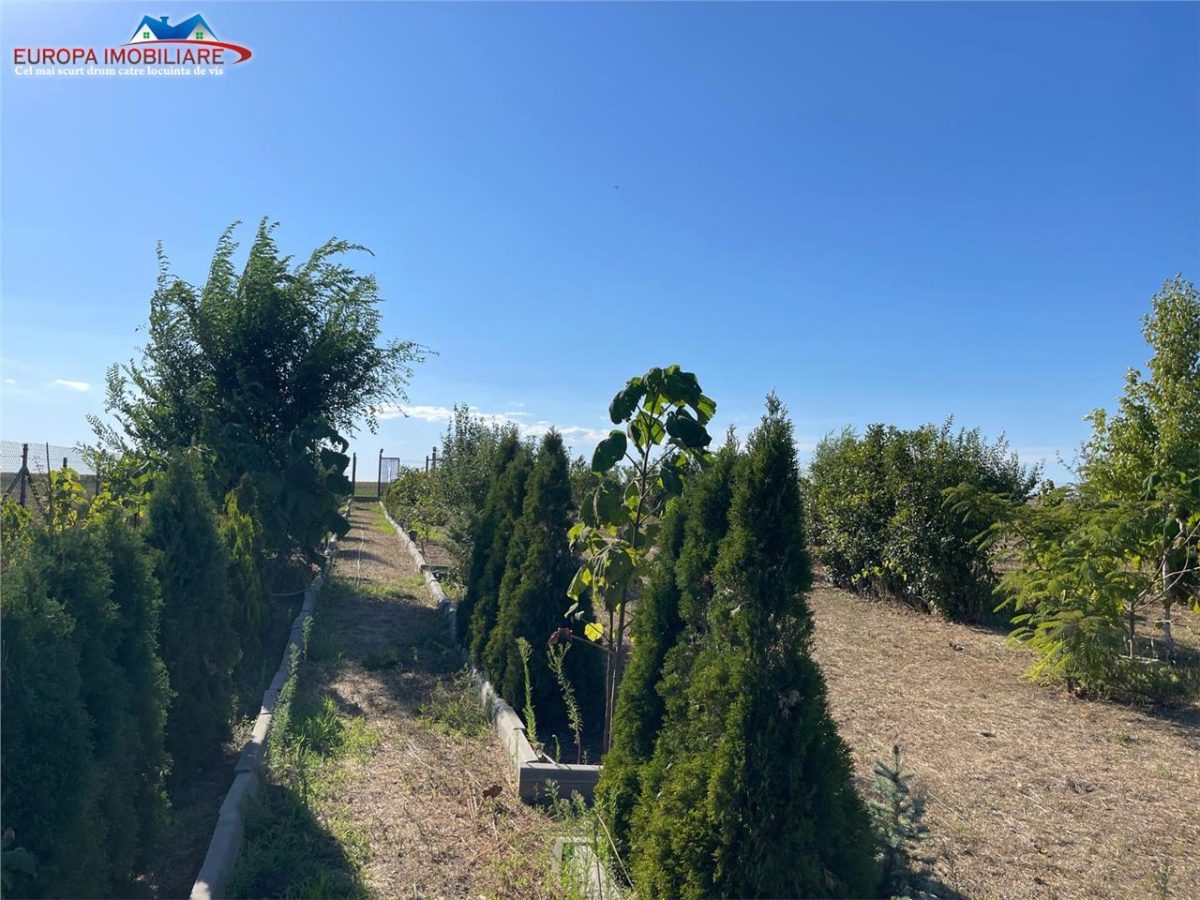 Teren de vanzare in localitatea Cataloi Tulcea - foto 5