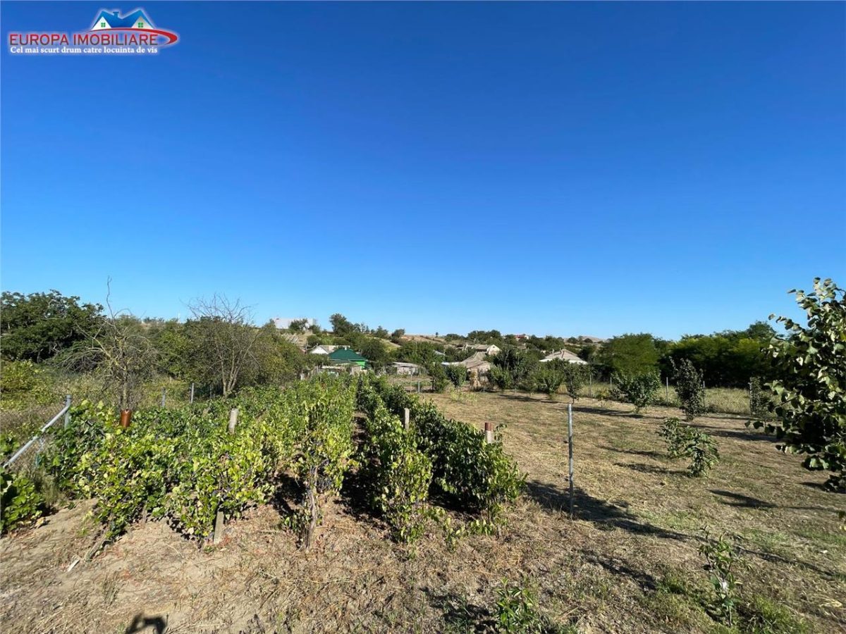 Teren de vanzare in localitatea Cataloi Tulcea - foto 6