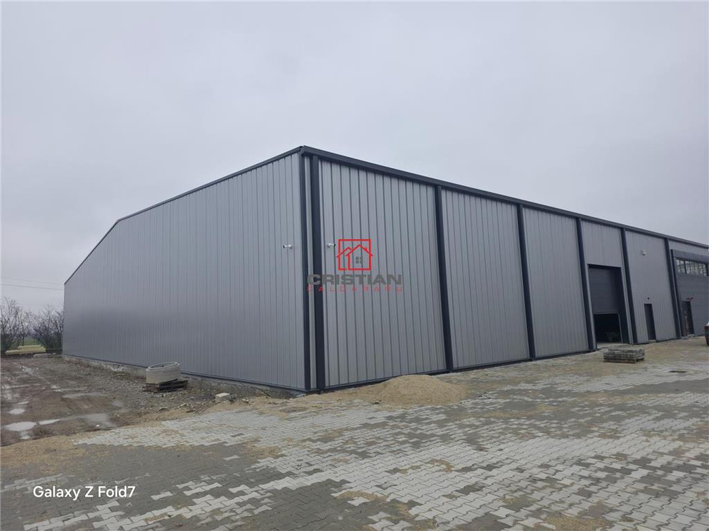Vanzare depozit/hala/spatiu industrial Mogosoaia - Buftea - foto 4