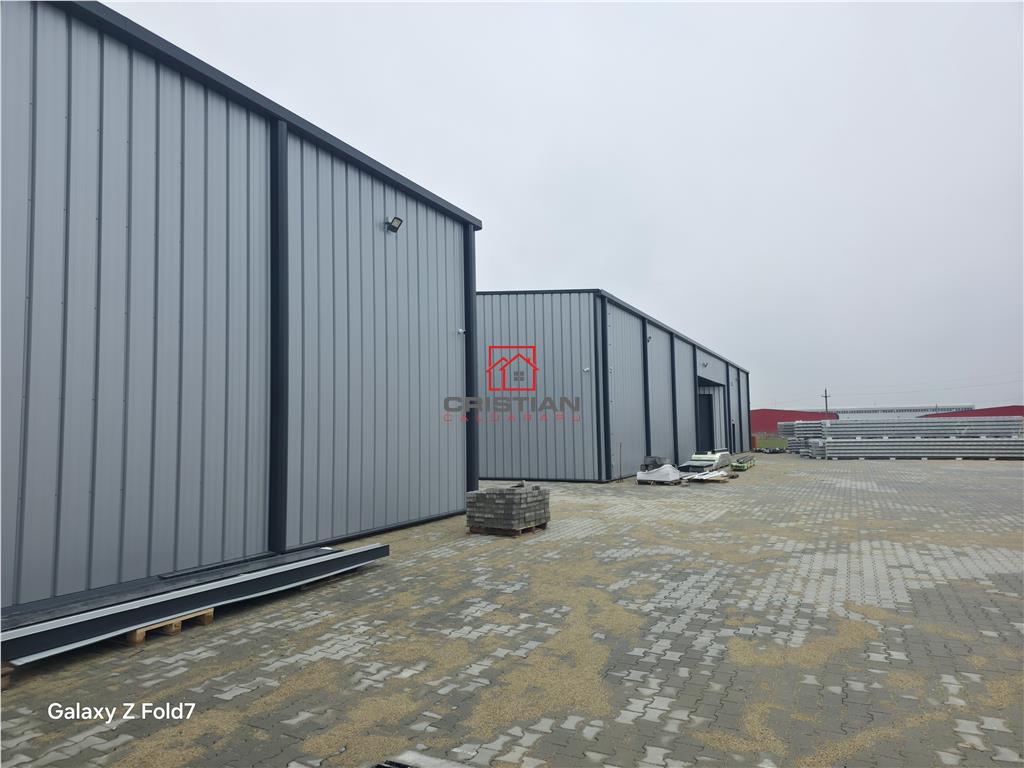 Vanzare depozit/hala/spatiu industrial Mogosoaia - Buftea - foto 20