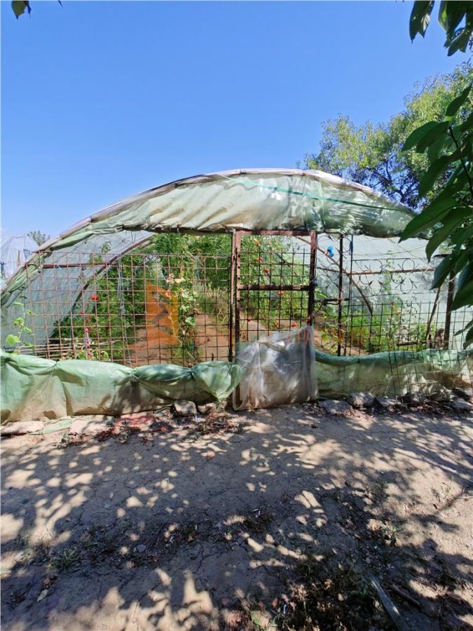 Casa tip parter si teren 1750 mp in zona Transilvaniei - foto 17