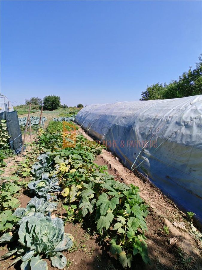 Casa tip parter si teren 1750 mp in zona Transilvaniei - foto 18