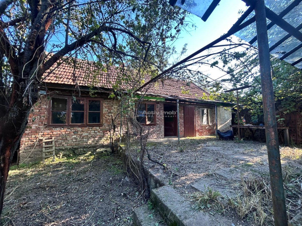 Bocsa Romana, 2 Corpuri de cladire cu Teren de 555 mp. si garaj, la sosea - foto 7