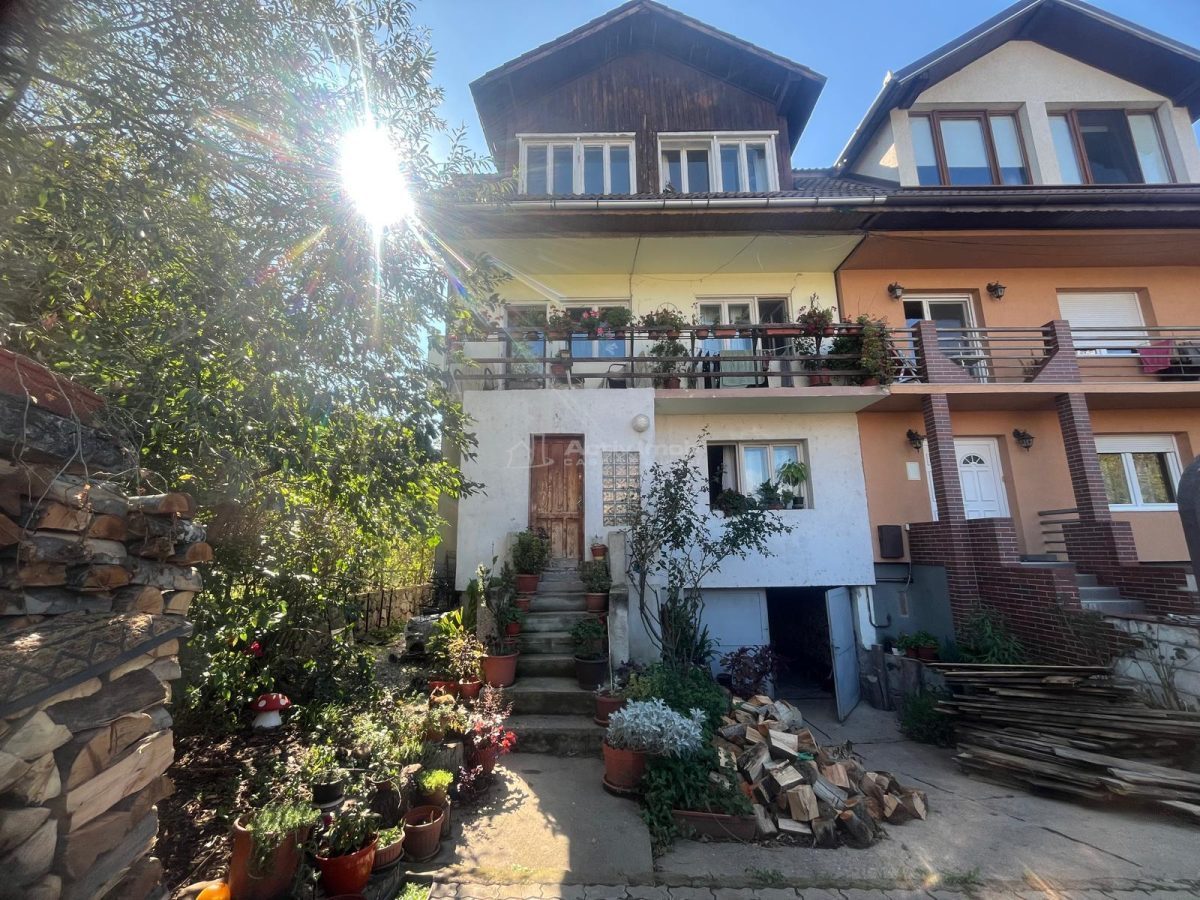 Caransebes, Casa P+1+2+M, Zona ACR - foto 19