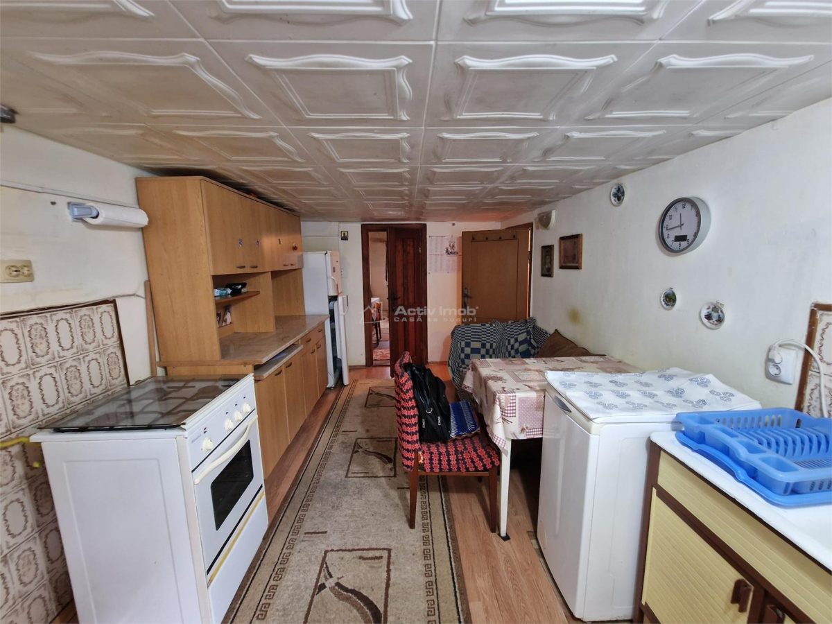 Resita Casa la cheie si Garaj - foto 10