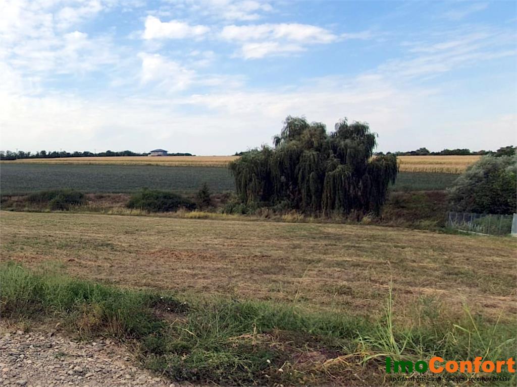 20E pe mp! 1400mp in Proselnici, execelent amplasat, cu utilitati - foto 2