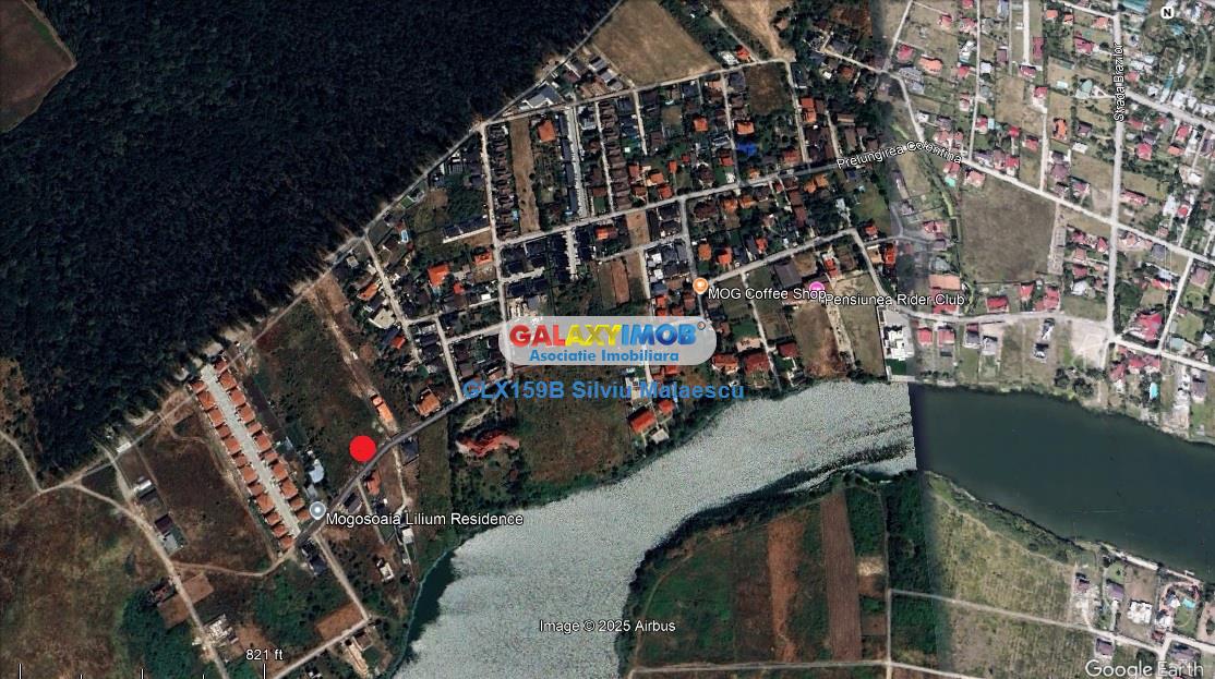 IDEAL INVESTITIE Mogosoaia - Teren 9.999 mp str. Crinului - foto 3