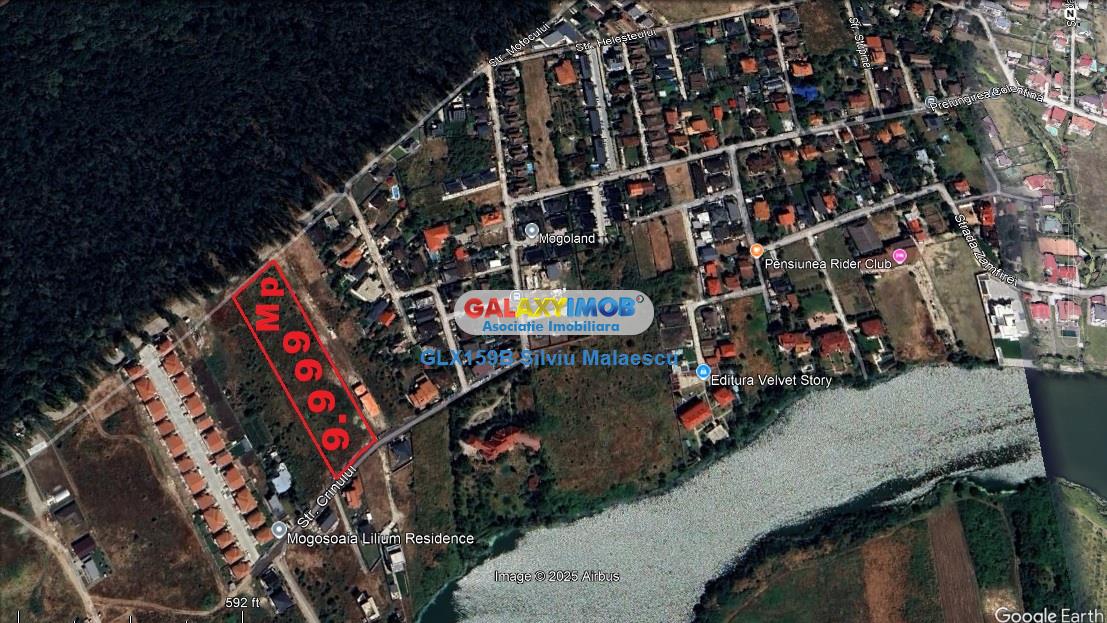 IDEAL INVESTITIE Mogosoaia - Teren 9.999 mp str. Crinului - foto 4