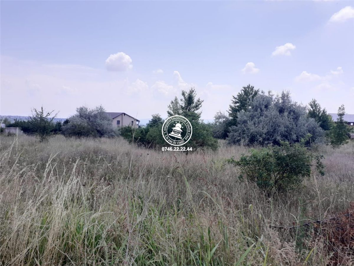Teren pentru constructii case  de vanzare Iasi, Rediu, - foto 2