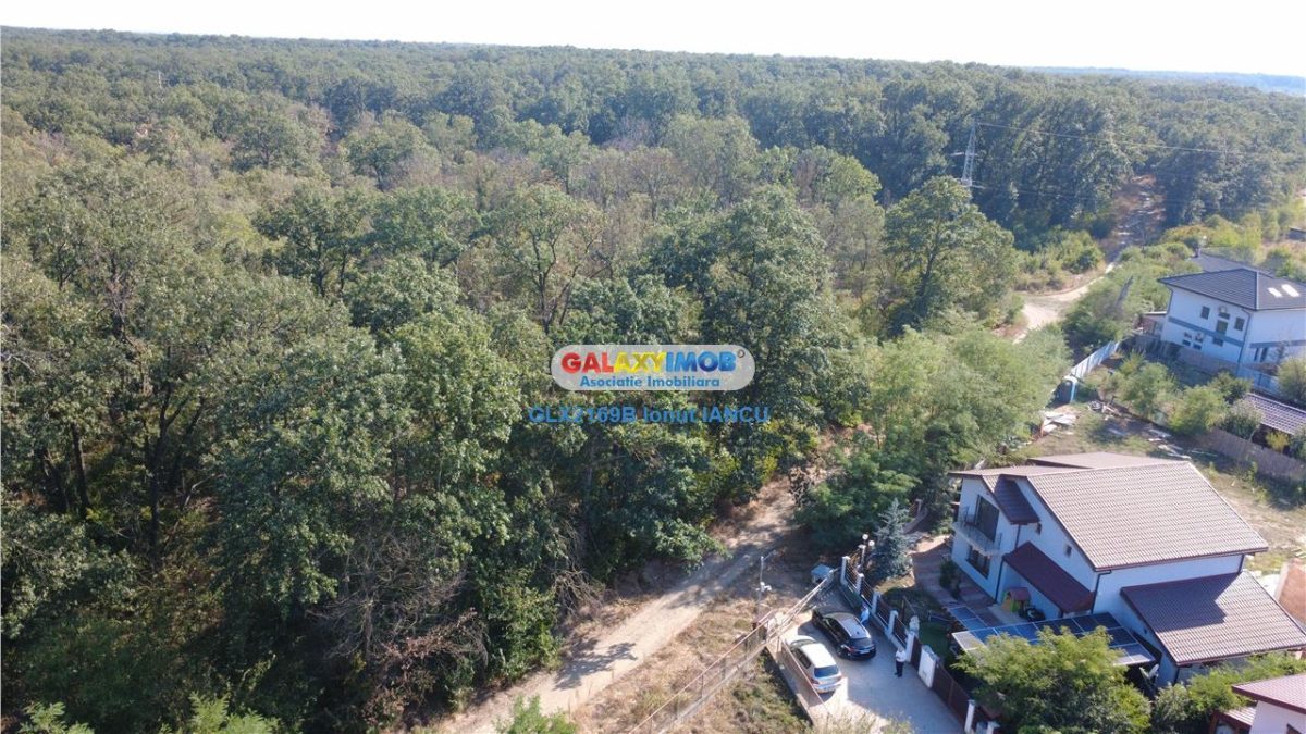 Vila cu garaj Padurea Pantelimon - 4 camere - foto 2