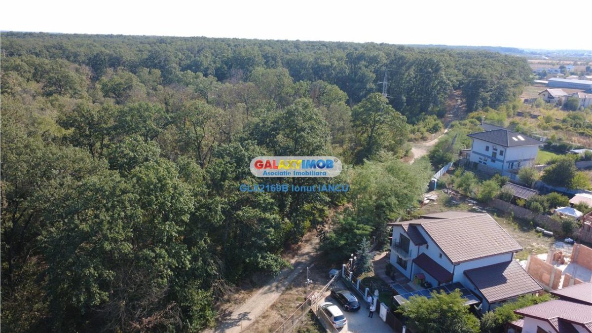 Vila cu garaj Padurea Pantelimon - 4 camere - foto 6