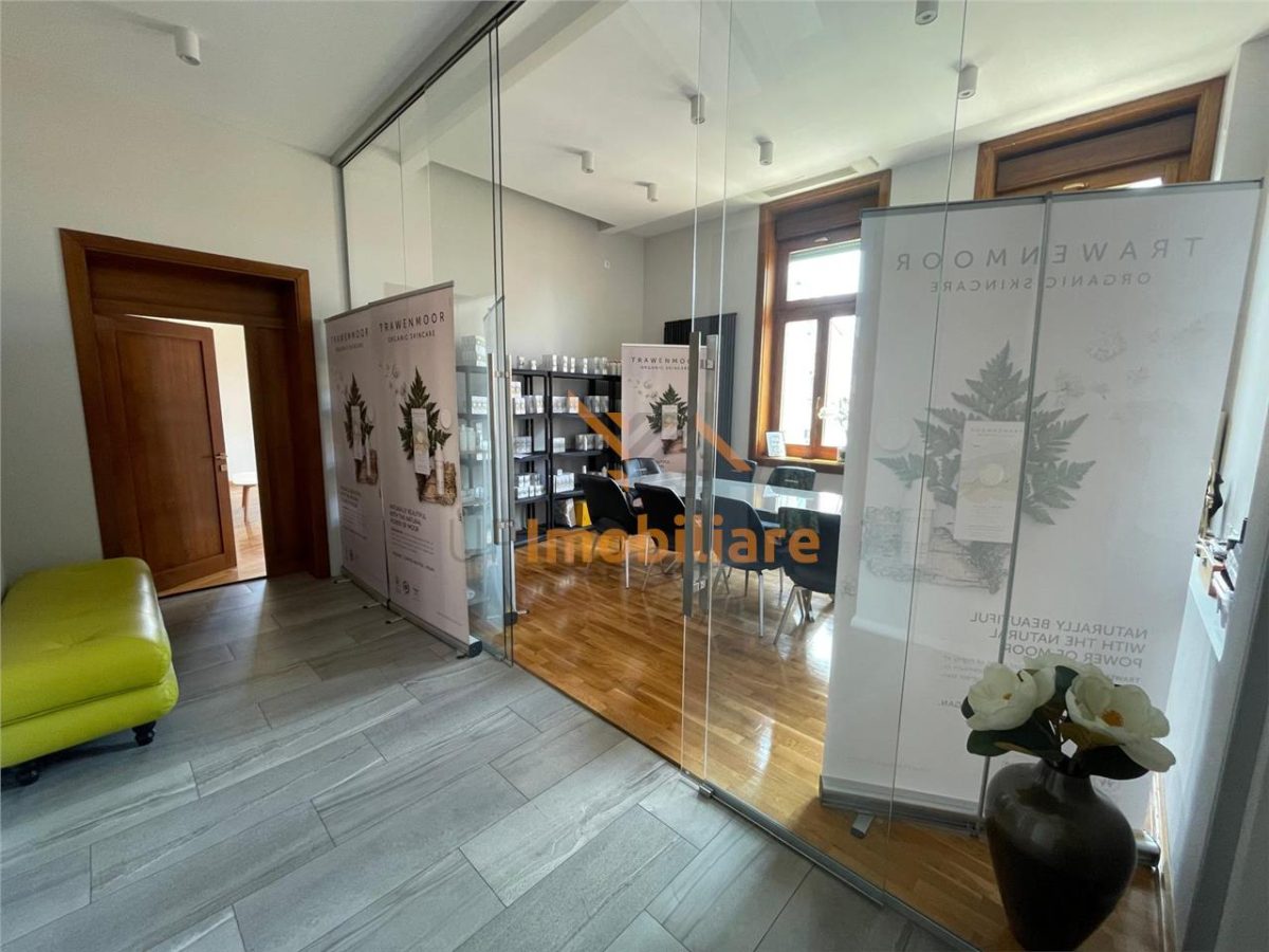 SPATIU BIROURI | PALATUL STERN | ORADEA | - foto 5