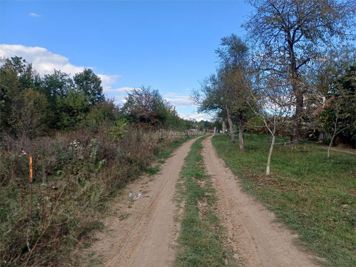 Resita, Teren Intravilan 2819 Mp., 16 Euro/Mp., Calea Caransebesului, Km. 6 - foto 14