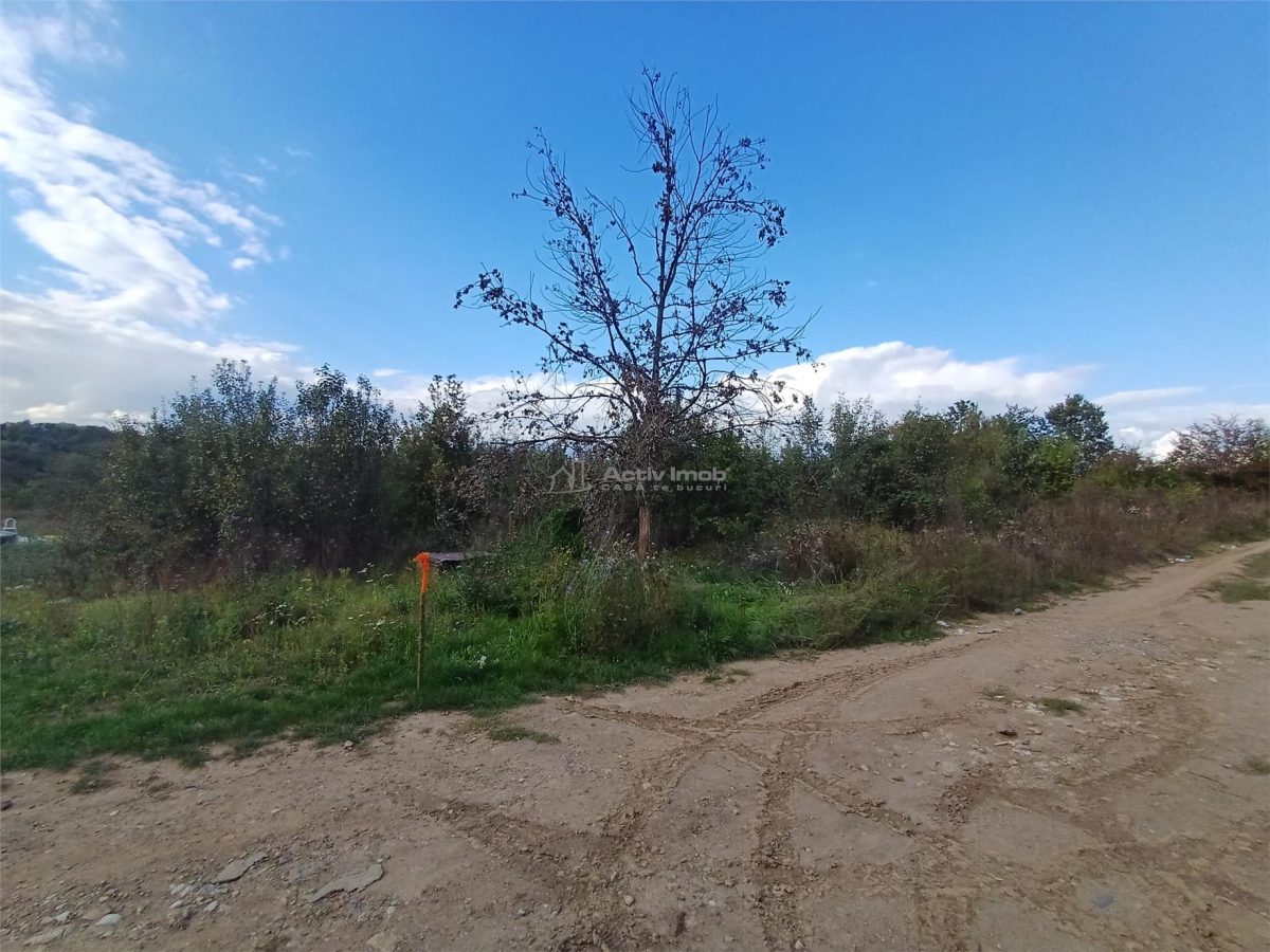 Resita, Teren Intravilan 2819 Mp., 16 Euro/Mp., Calea Caransebesului, Km. 6 - foto 6