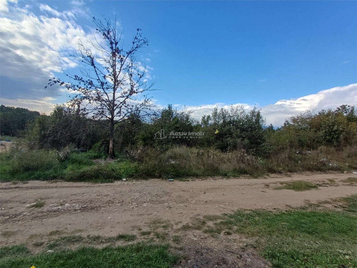 Resita, Teren Intravilan 2819 Mp., 16 Euro/Mp., Calea Caransebesului, Km. 6 - foto 7