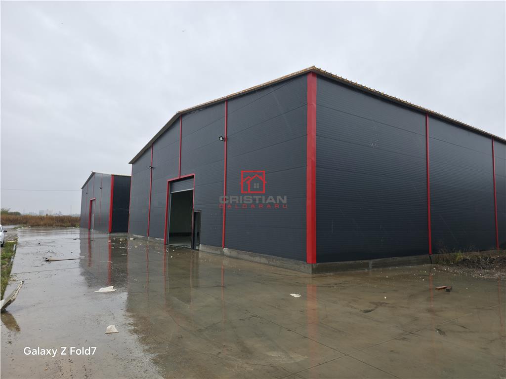 Inchiriere depozit/hala/spatiu industrial Theodor Pallady - Gara Catelul - foto 11