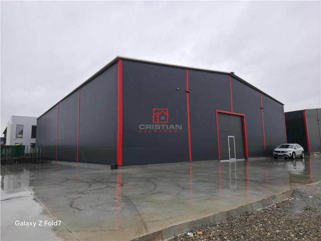 Inchiriere depozit/hala/spatiu industrial Theodor Pallady - Gara Catelul - foto 12