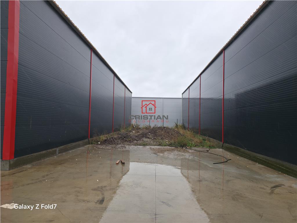 Inchiriere depozit/hala/spatiu industrial Theodor Pallady - Gara Catelul - foto 4