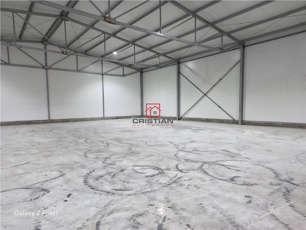 Inchiriere depozit/hala/spatiu industrial Theodor Pallady - Gara Catelul - foto 6