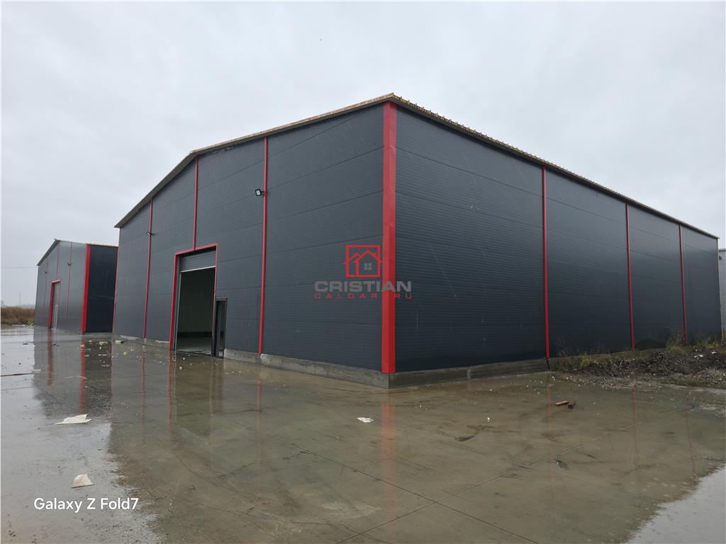 Inchiriere depozit/hala/spatiu industrial Theodor Pallady - Gara Catelul - foto 9