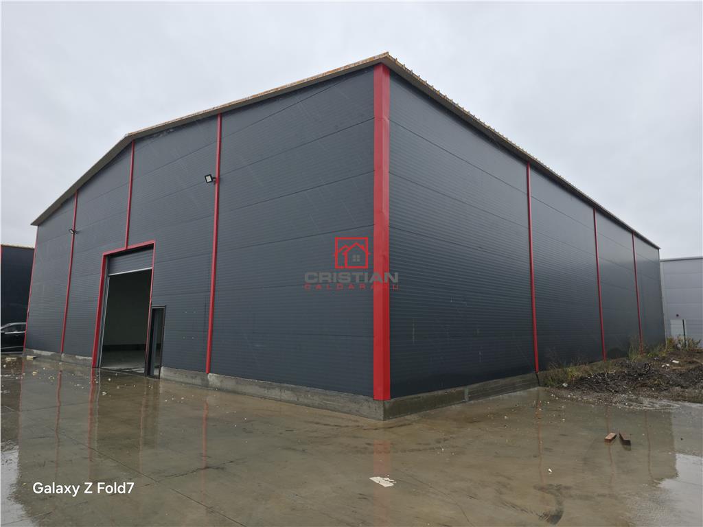 Inchiriere depozit/hala/spatiu industrial Theodor Pallady - Gara Catelul - foto 10