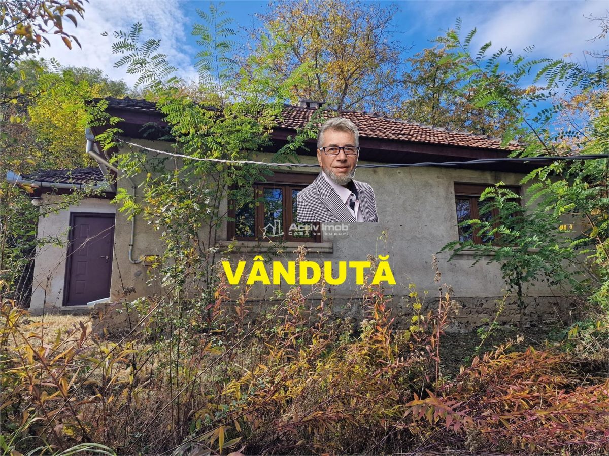 Resita Casa cu Teren privat 4670 Mp. - 