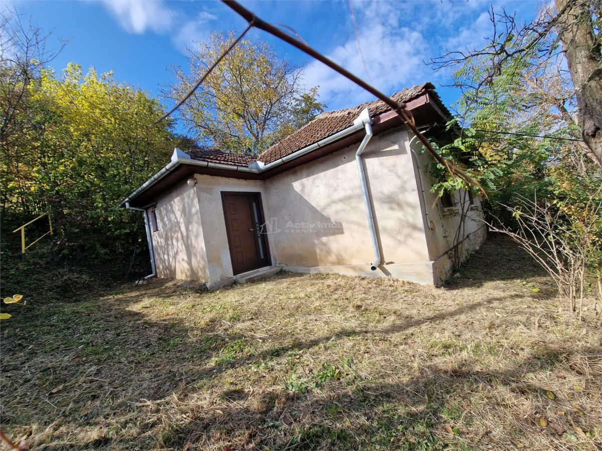 Resita Casa cu Teren privat 4670 Mp. - foto 12