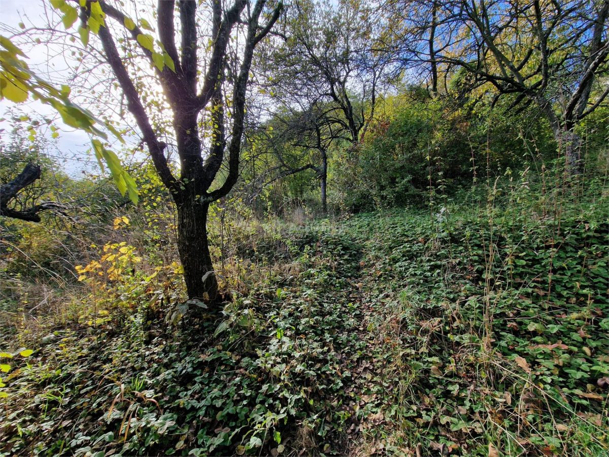 Resita Casa cu Teren privat 4670 Mp. - foto 14