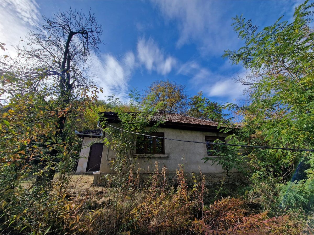 Resita Casa cu Teren privat 4670 Mp. - foto 16