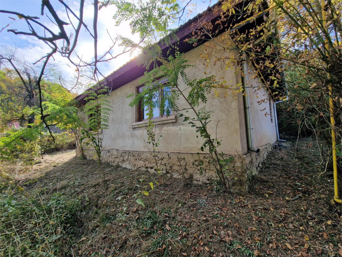 Resita Casa cu Teren privat 4670 Mp. - foto 21