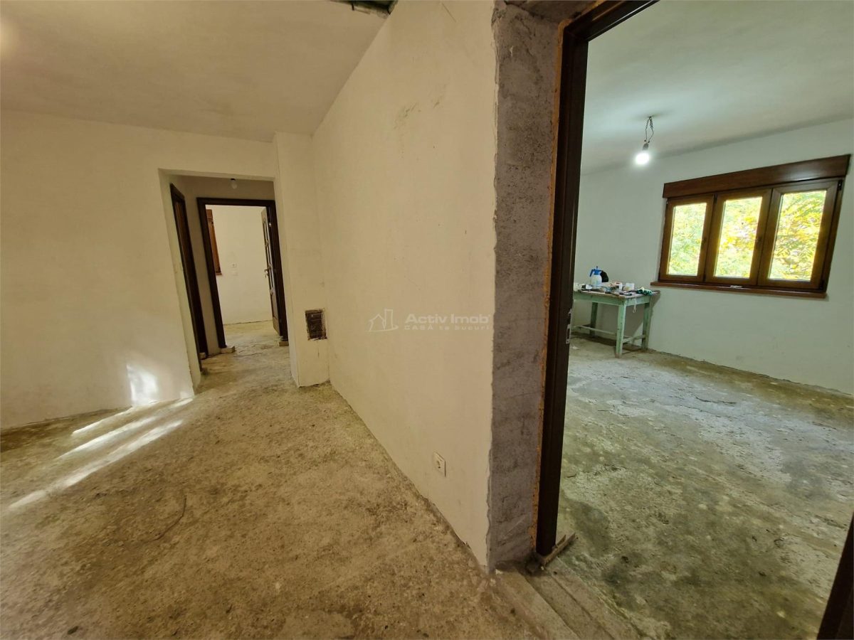 Resita Casa cu Teren privat 4670 Mp. - foto 4