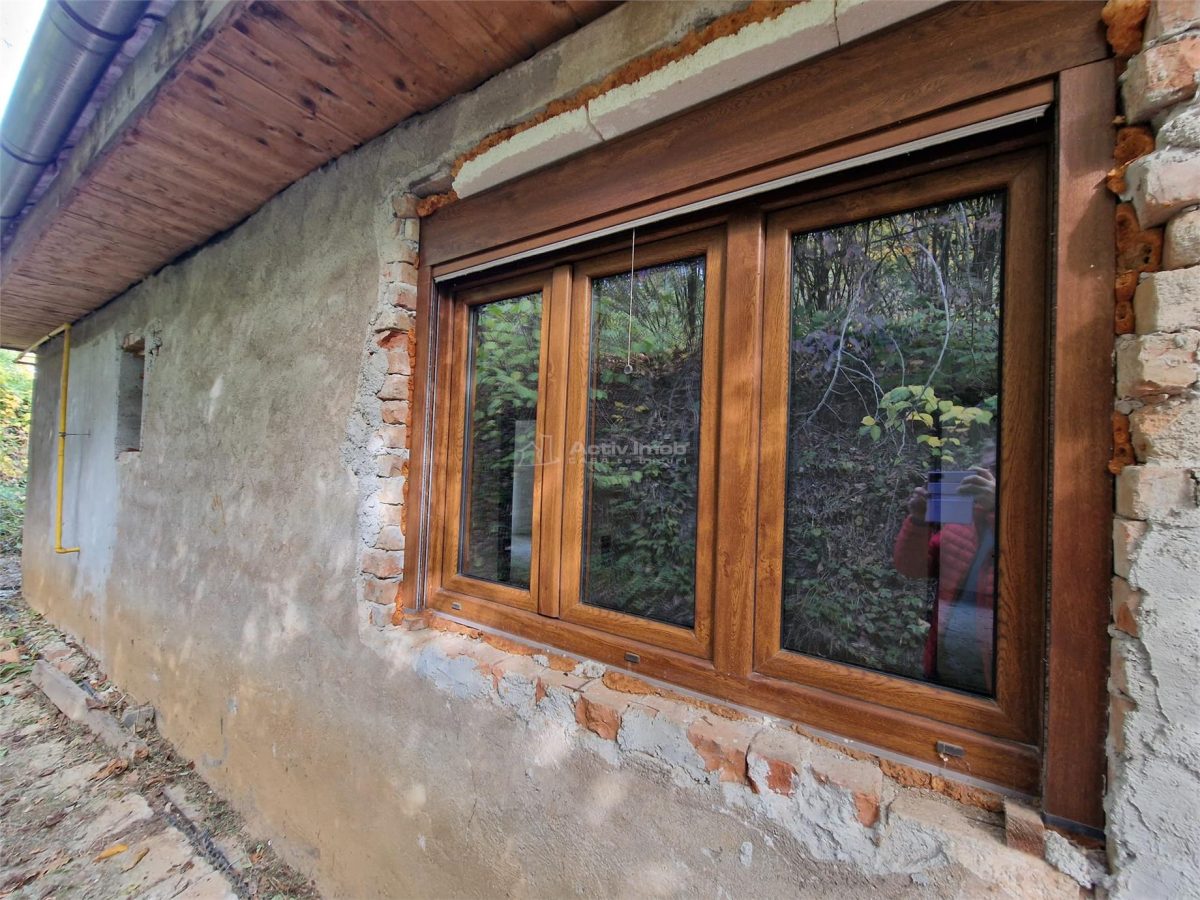 Resita Casa cu Teren privat 4670 Mp. - foto 5