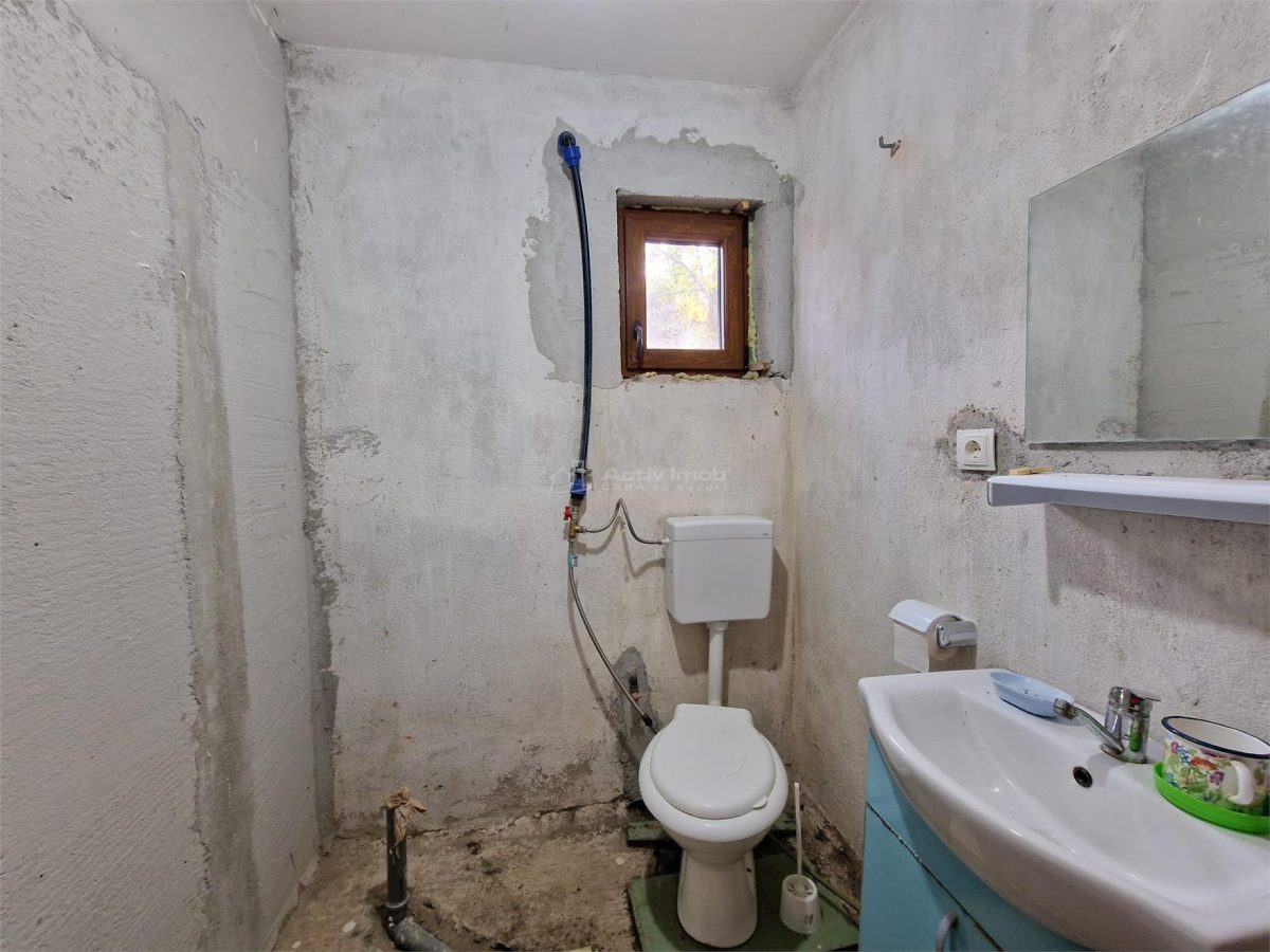 Resita Casa cu Teren privat 4670 Mp. - foto 9