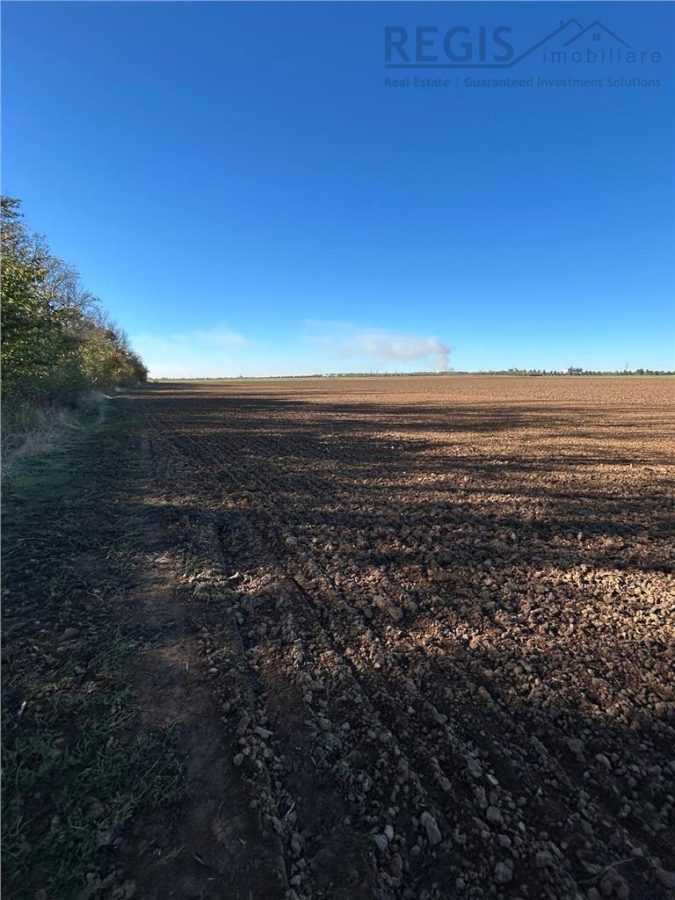 Magnolia Village | Teren 30.000 mp perfect pentru dezvoltare - foto 6