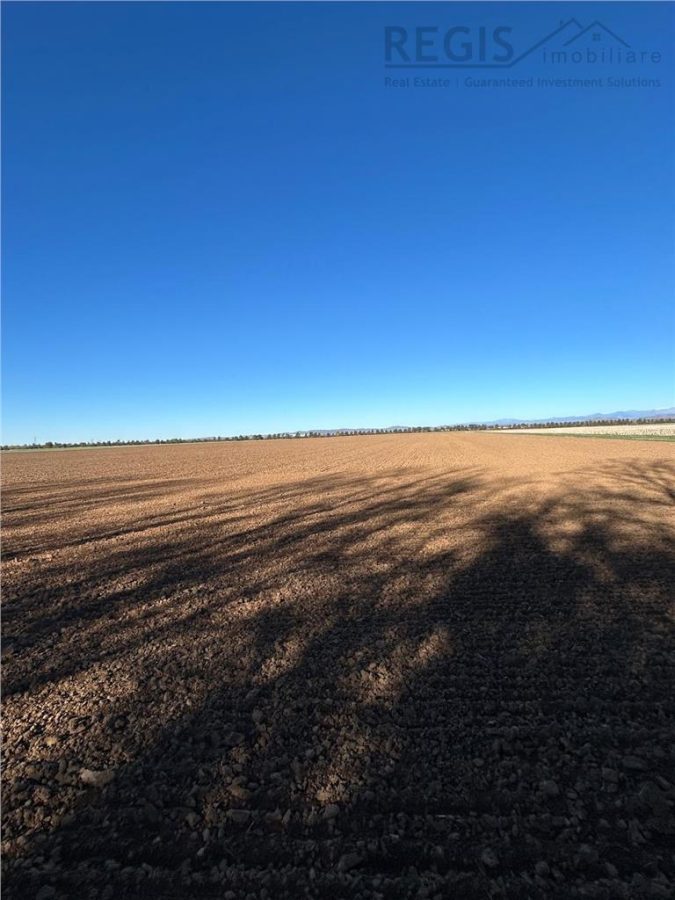 Magnolia Village | Teren 30.000 mp perfect pentru dezvoltare - foto 7