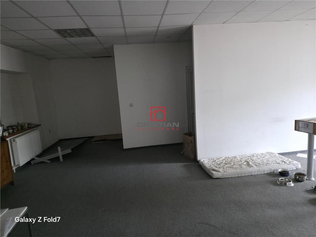 Inchiriere depozit/spatiu industrial/hala Basarabia - Faur - foto 14