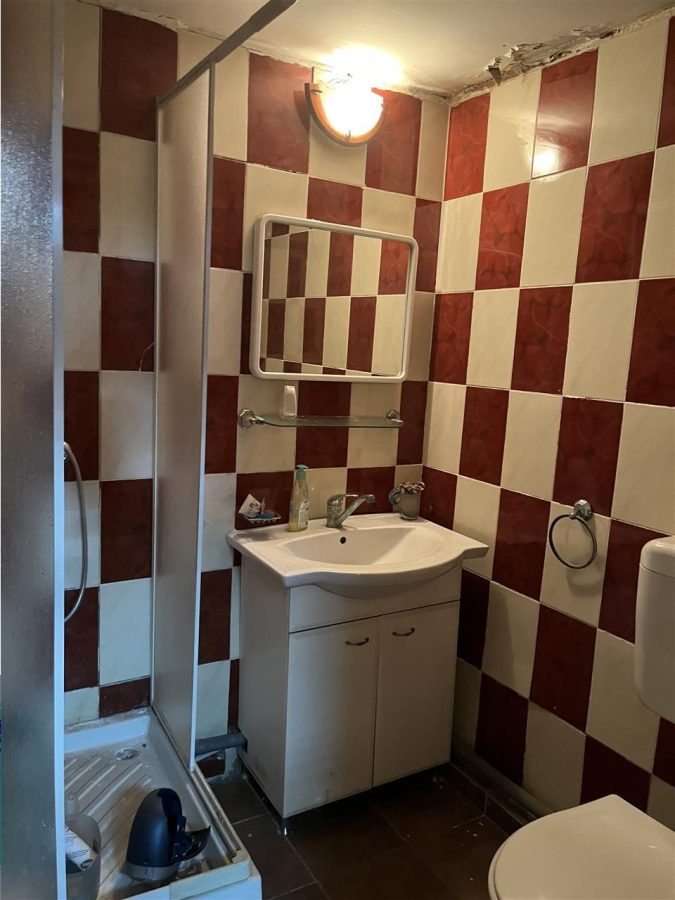 Pache Protopopescu, spatiu demisol, pretabil activitate comerciala - foto 7