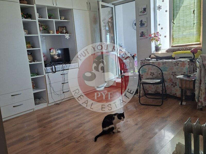 Facultatea artelor | Studio | 44mp | Semidec | RS I | B12089 - 