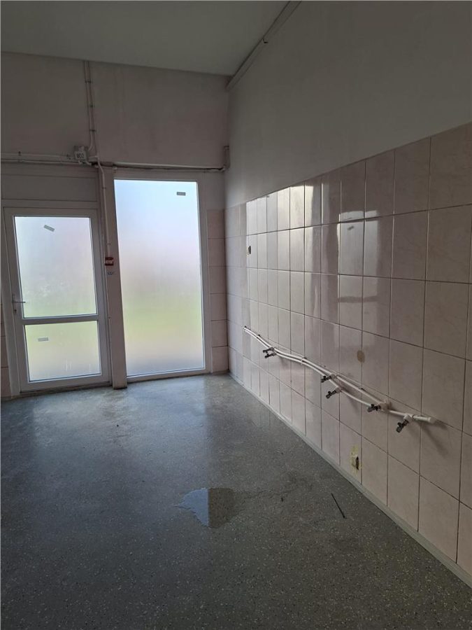 Restaurant 139 mp in vad com, cu terasa exterioara - foto 5