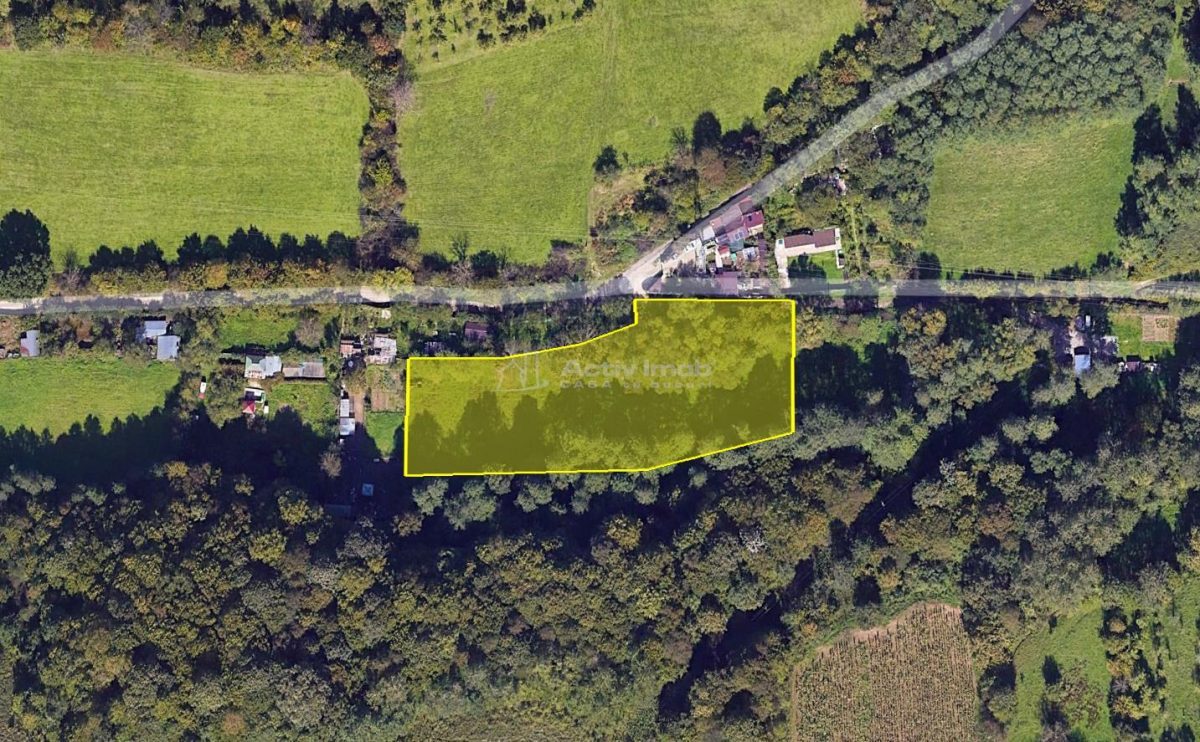 Resita, Teren Drept Intravilan, Langa Prau si Drum, Parcelabil, 4500 Mp., 15 Euro/Mp., Renk - 