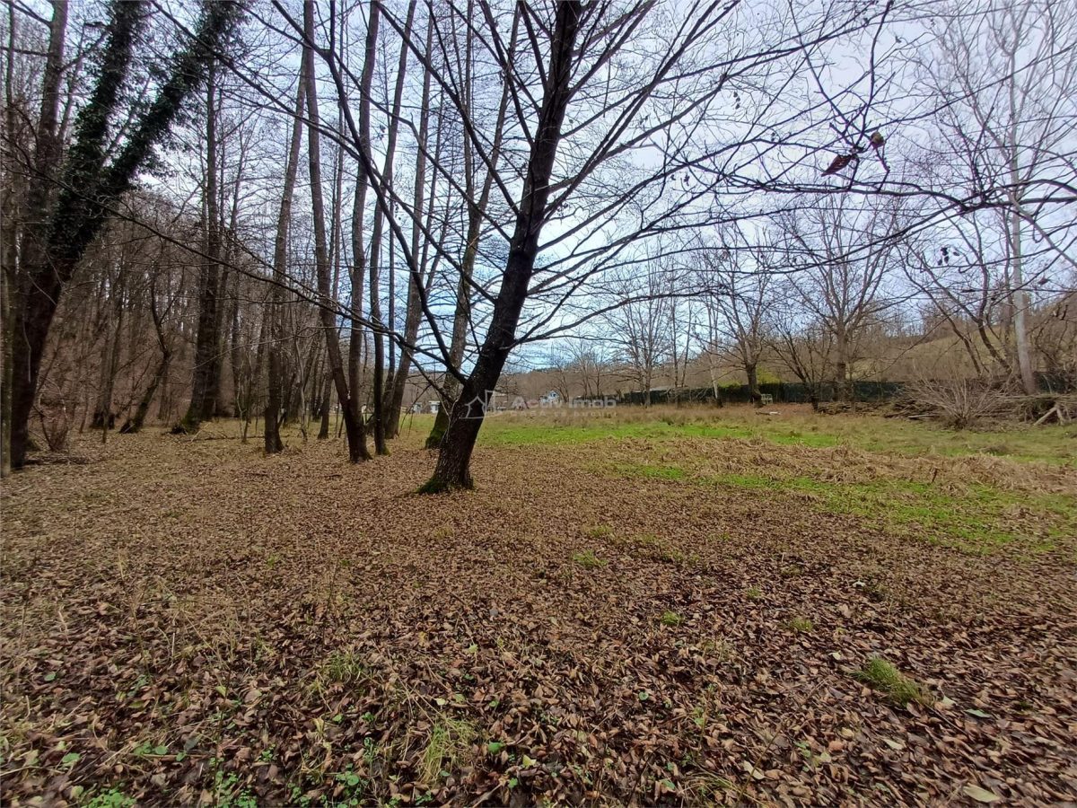 Resita, Teren Drept Intravilan, Langa Prau si Drum, Parcelabil, 4500 Mp., 15 Euro/Mp., Renk - foto 11