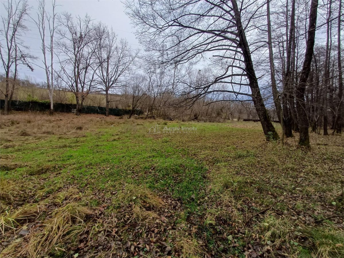 Resita, Teren Drept Intravilan, Langa Prau si Drum, Parcelabil, 4500 Mp., 15 Euro/Mp., Renk - foto 12