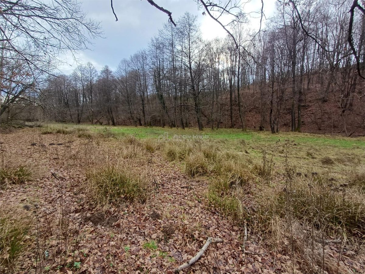 Resita, Teren Drept Intravilan, Langa Prau si Drum, Parcelabil, 4500 Mp., 15 Euro/Mp., Renk - foto 13