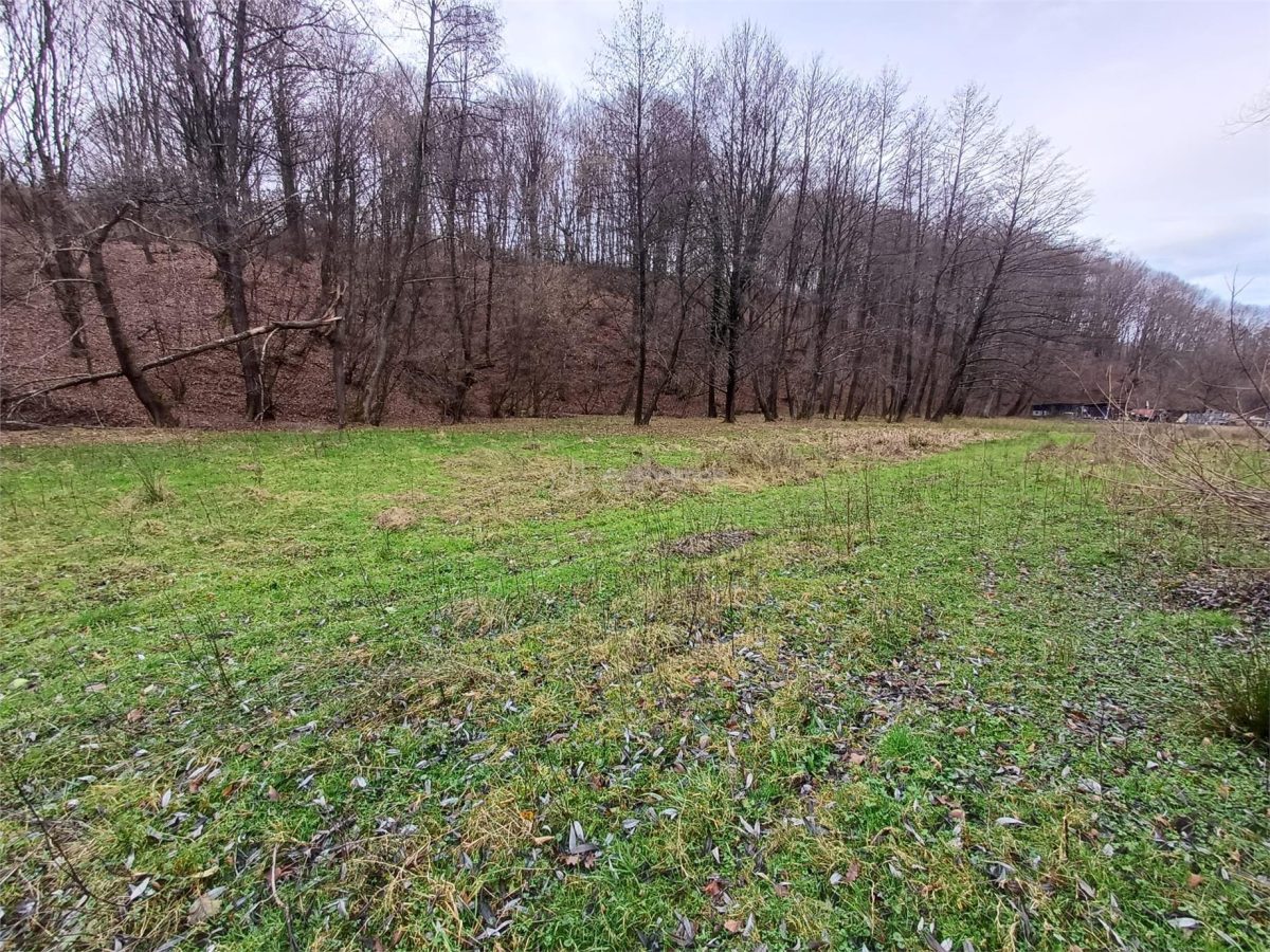 Resita, Teren Drept Intravilan, Langa Prau si Drum, Parcelabil, 4500 Mp., 15 Euro/Mp., Renk - foto 14