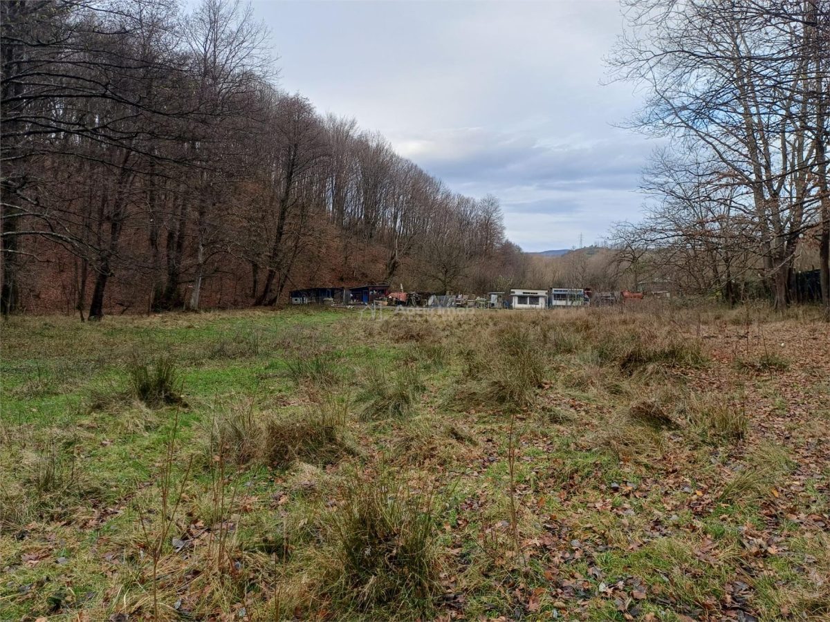 Resita, Teren Drept Intravilan, Langa Prau si Drum, Parcelabil, 4500 Mp., 15 Euro/Mp., Renk - foto 15